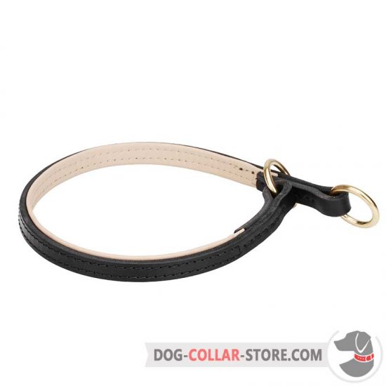 Padded choke shop dog collars