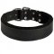 Leather Dog Collar Padded with Thick Felt for Walking and Training