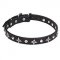 "Pleiades" 4/5 inch (25 mm) Dog Collar with Chrome Plated Fineries