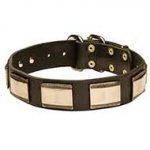 Designer Leather Dog Collar with Brass Plates