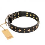 'A La Mode' FDT Artisan Exquisite Handmade Black Leather Dog Collar
