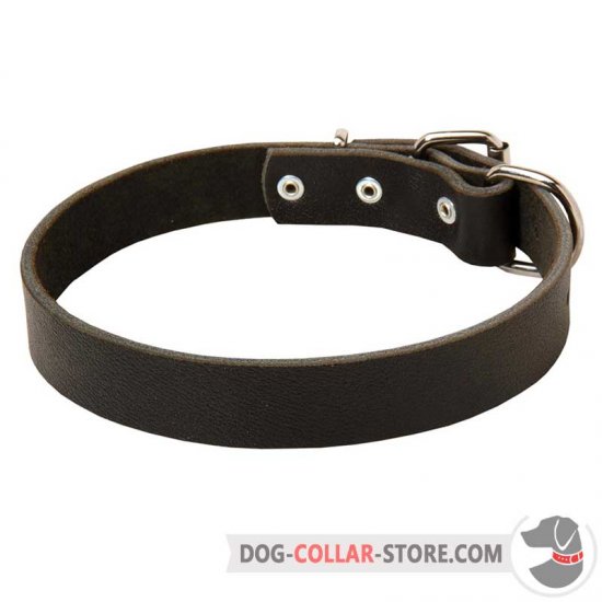 Durable Leather Dog Collar for Everyday Walking and Training