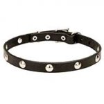 'Shiny Necklace' Leather Dog Collar Trendy Design