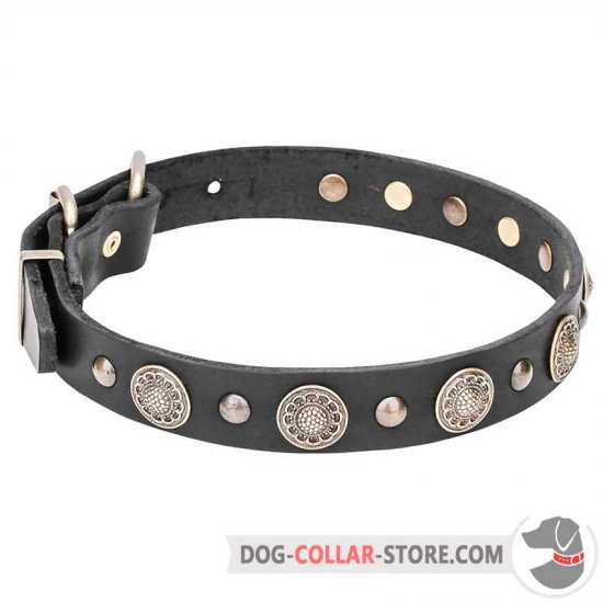 "Magic Necklace" Dog Collar with Brass Circles and Half-Balls