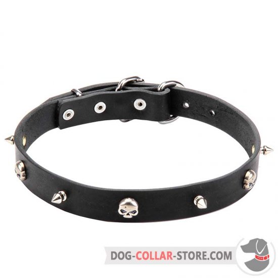 pirate dog collar