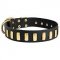 Gorgeous Wide Leather Dog Collar With Plates