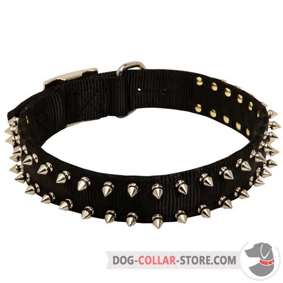 Fashionable Nylon Dog Collar with 2 Rows of Nickle Spikes