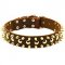 Designer Leather Dog Collar with Studs and Spikes