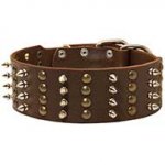 Gorgeous Design Leather Dog Collar with Nickel Plated Spikes and Brass Studs