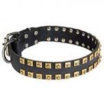 Premium Quality Wide Leather Dog Collar with Hand-Set Brass Studs