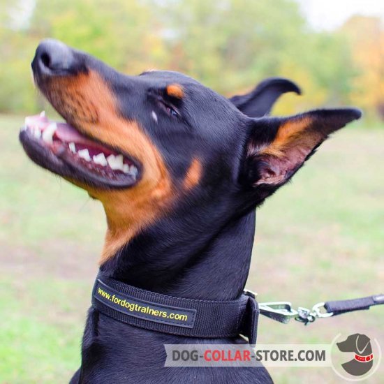 Wide Nylon Doberman Collar For Everyday Walking and Training