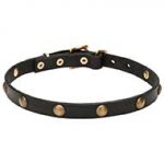 'Elegant Beauty' Leather Dog Collar with Brass Half-Ball Studs