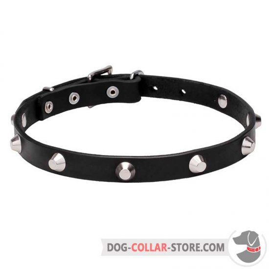 "Beauty & Elegance" Dog Collar with Shiny Cones
