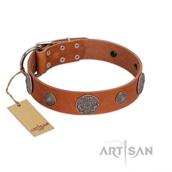 "Foxy Nature" FDT Artisan Tan Leather dog Collar with Chrome Plated Brooches