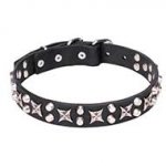 "Shining Stars" 1 1/5 inch (30 mm) Leather Dog Collar Decorated