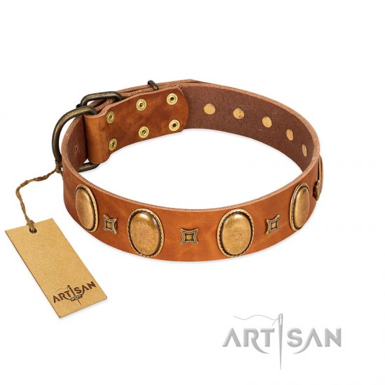 "Glossy Autumn" Designer Handmade FDT Artisan Tan Leather dog Collar with Ovals and Studs