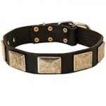 Handcrafted Leather Dog Collar With Vintage Massive Plates