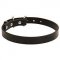 Classy Buckled Leather Dog Collar for Daily Use