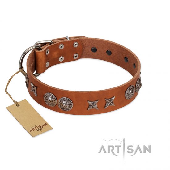 "Splendid Armor" Premium Quality FDT Artisan Tan Designer dog Collar with Shields and Stars