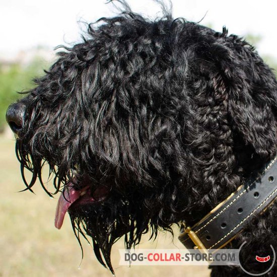 Nappa Padded Leather Black Russian Terrier Collar