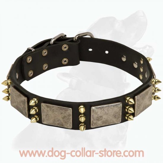 Gorgeous Dog Leather Collar With Awesome Massive Decoration