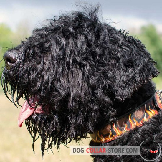 Stylish Leather Black Russian Terrier Collar with Hand Painted Flames