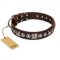 "Pierian spring" FDT Artisan Brown Leather dog Collar with Silvery Decorations