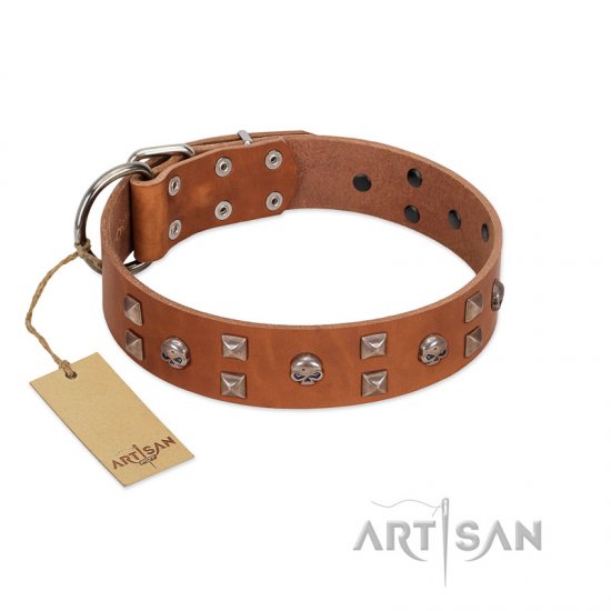 "Enchanted Skulls" FDT Artisan Tan Leather dog Collar with Chrome Plated Skulls