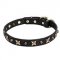 "Four Cornered Stars" Leather Dog Collar Handmade