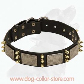 Gorgeous Dog Leather Collar With Awesome Massive Decoration