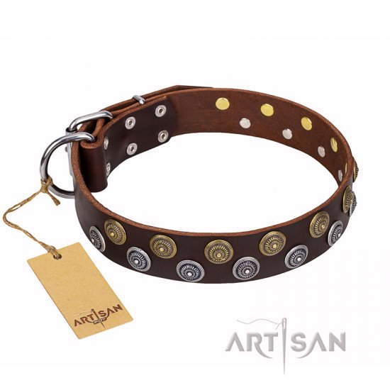 'Strong Shields' FDT Artisan Leather Dog Collar of Superior Design
