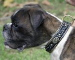 Hand Made Padded Leather Boxer Collar with Decorations