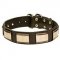 Designer Leather Dog Collar with Brass Plates