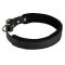 Felt Padded Leather Dog Collar for Training