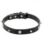 "Pirate" Genuine Leather Dog Collar 1 inch (25 mm) Wide