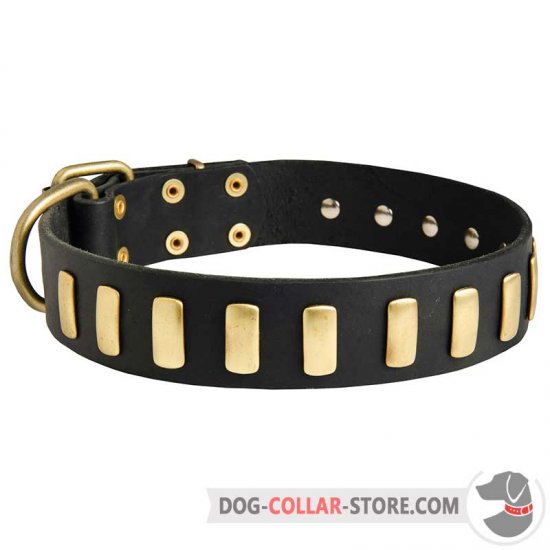 Gorgeous Wide Leather Dog Collar With Plates