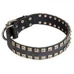 Adjustable Strong Leather Dog Collar with Nickel Studs