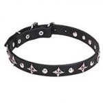 "Pleiades" 4/5 inch (25 mm) Dog Collar with Chrome Plated Fineries
