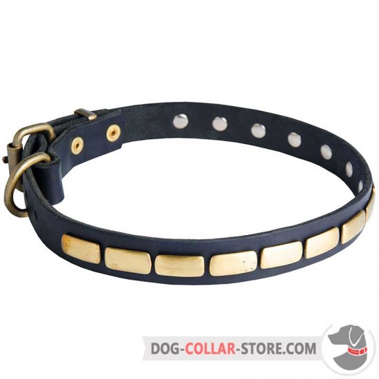 Gorgeous Leather Collar For Handling Medium Size Dogs