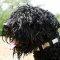 Nylon Black Russian Terrier Collar With Vintage Massive Plates