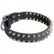 Incredible Leather Dog Collar Decorated with 2 Rows of Nickel Spikes