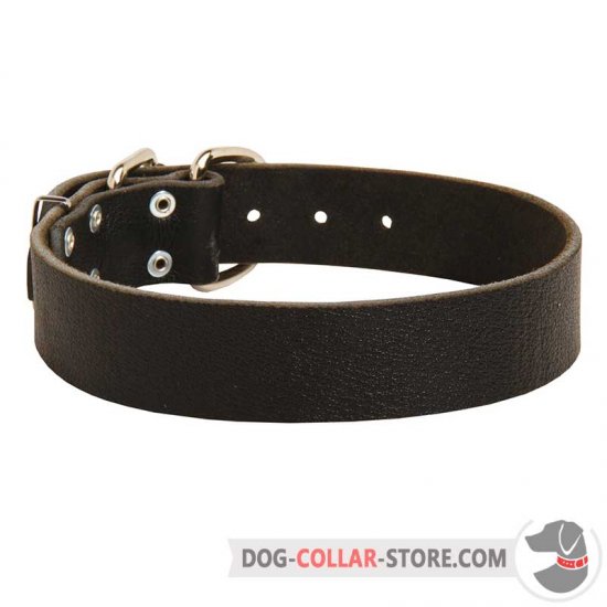 Classical Wide Leather Dog Collar