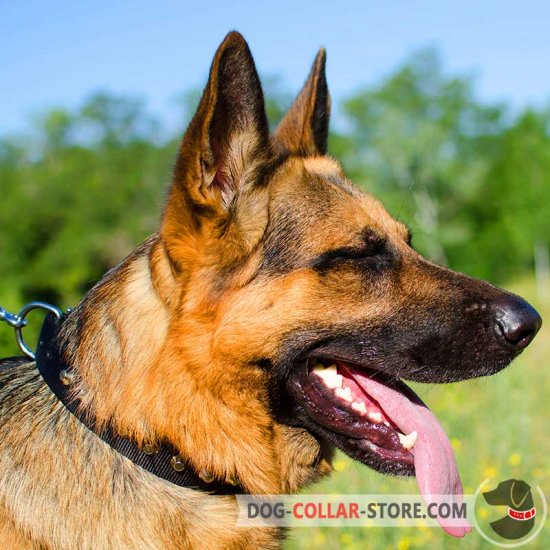 Stylish Wide Nylon German Shepherd Collar With Nickel Pyramids
