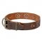 'Spring Mood' Leather Collar for Trendy Dogs