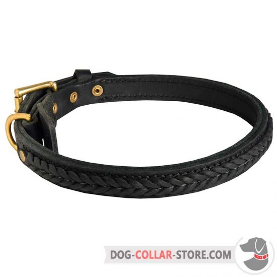 Striking Designer Leather Dog Collar with Braiding