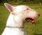 Herm Sprenger Chain Bull Terrier Choke Collar