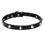 "Beauty & Elegance" Dog Collar with Shiny Cones