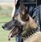 Black Designer Leather Belgian Malinois Collar with Spikes and Studs