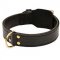 Heavy Duty Training Leather Dog Collar