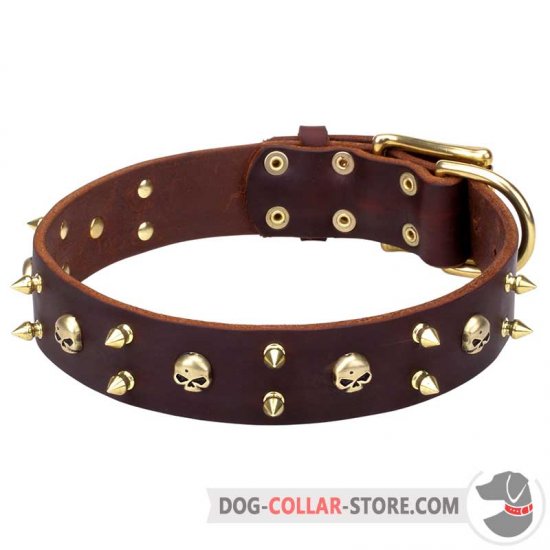 'Hard Rock' Decorative Leather Dog Collar with Brass Skulls and Spikes